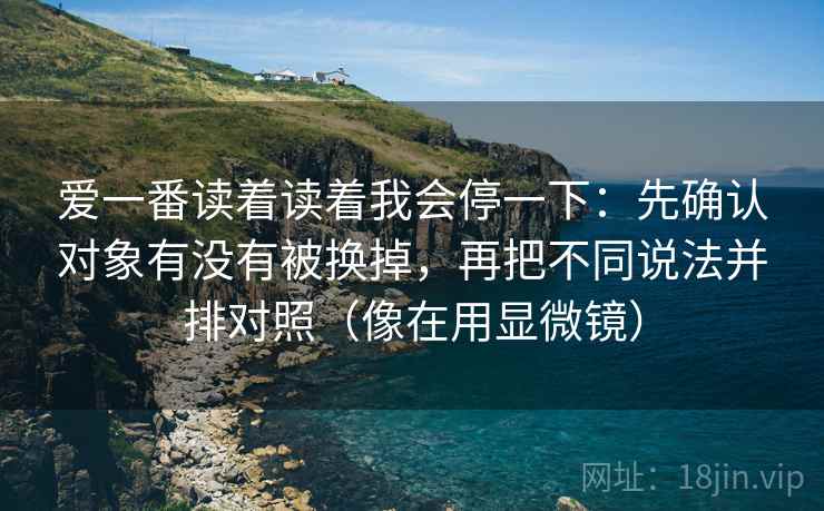 爱一番读着读着我会停一下：先确认对象有没有被换掉，再把不同说法并排对照（像在用显微镜）